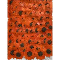12 pieces Orange Sunflowers Real Dried Pressed flowers