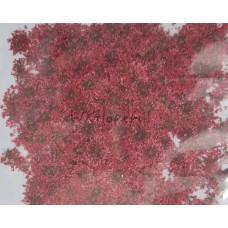 100 pcs Red Queen Anne's Lace Real Dried Pressed flowers 