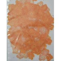 100 pieces Orange Hydrangea Real Dried Pressed flowers 