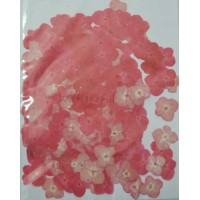 100 pieces Red Hydrangea Real Dried Pressed flowers 
