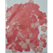 100 pieces Red Hydrangea Real Dried Pressed flowers 100 pieces Red Hydrangea Real Dried Pressed flowers