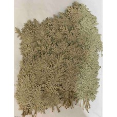 100 pieces Real Dried Pressed flowers leaves