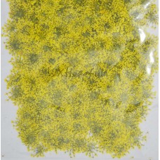 100 pcs Real Dried Pressed flowers Yellow Queen Anne's Lace