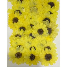 12 pieces Bright Yellow Sunflowers Real Dried Pressed flowers