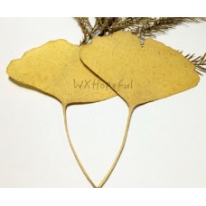 10 pieces Real Dried Pressed flowers ginkgo leaf