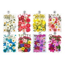 Real Dried Pressed flowers Assorted Colorful Daisies, Leaves, Hydrangeas, Queen Anne's Lace, Larkspurs