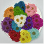 Dried Pressed Flowers Daisy