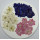 Larkspur