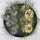 Nigella Damascena