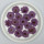 Chrysanthemum‌