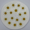 Dried Pressed Flowers Daisy