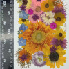 35 pcs Assorted Dried Pressed Flowers Gerbera jamesonii Sunflowers