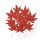 Maple Leaf