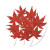 Maple Leaf
