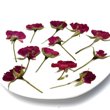 Dried Pressed Flowers Mini Rose with Stem
