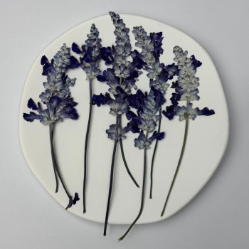 Dried Pressed Flowers Leaves Purple Salvia