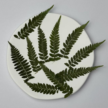 Dried Pressed Flowers Leaves Hou Tui Fern