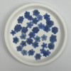 Dried Pressed Flowers Blue Forget-Me-Nots