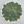 Double-petaled hydrangea