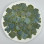Dried Pressed Flowers Double-Petaled Hydrangea