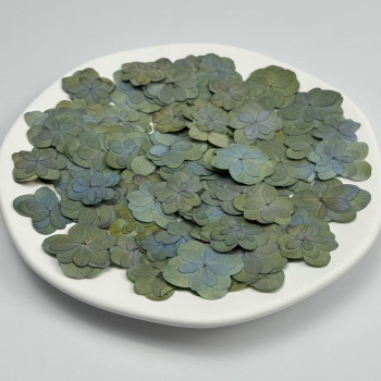 Dried Pressed Flowers Double-Petaled Hydrangea