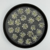 Dried Pressed Flowers Queen Anne's Lace