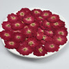 Dried Pressed Flowers Mini Red China Rose
