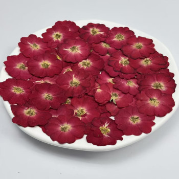 Dried Pressed Flowers Mini Red China Rose