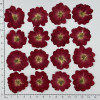 Dried Pressed Flowers Mini Red China Rose