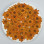 Dried Pressed Flowers Orange Zinnia