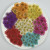Needle Chrysanthemum