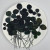 Clover