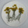 Golden Chrysanthemum with Stem