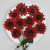 Sunflower with Stem