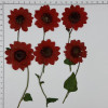 Dried Pressed Flowers Mini Sunflower with Stem