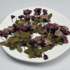 Dried Pressed Flowers Begonia with Stem