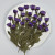 Daisy with Stem