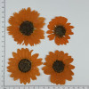 Dried Pressed Flowers Sunflower